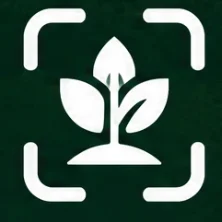 Growdex