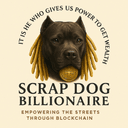Scrap CHAIN logo