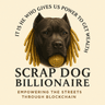 Scrap CHAIN logo